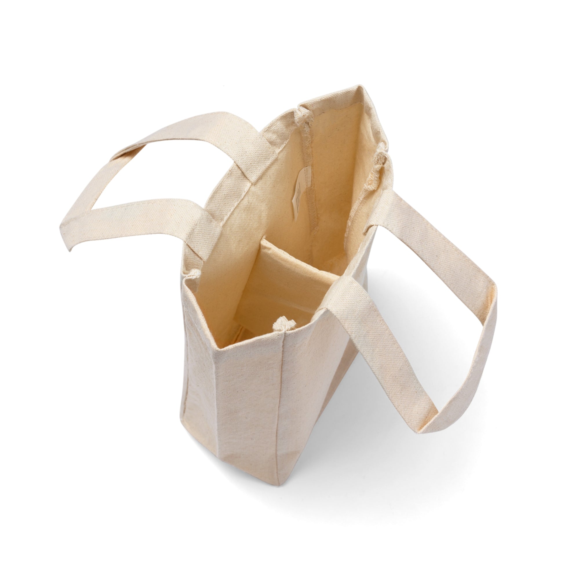 Double Wine Tote Bag — "Hook, Line & Drinker" Beach Fishing Wine Carrier